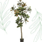 Kunstplant - Magnolia Grandiflora - 180 cm - Forest Plants