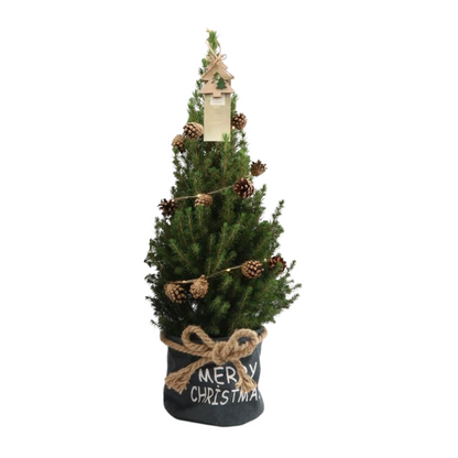 Kleine Kerstboom in 'Merry Christmas' zak blauw - ↕ 70 cm - Picea Glauca Conica - Dennenappel Lampjes met batterijen