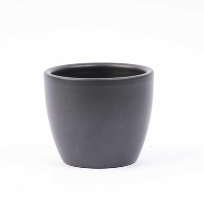 Mini-kerstboom set 3 - inclusief Boule Antraciet pot + 20 LED-lichtjes