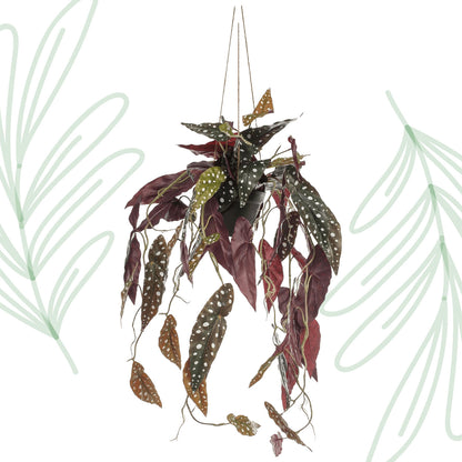 Kunstplant - Begonia Maculata - Stippenbegonia - 80 cm - Forest Plants