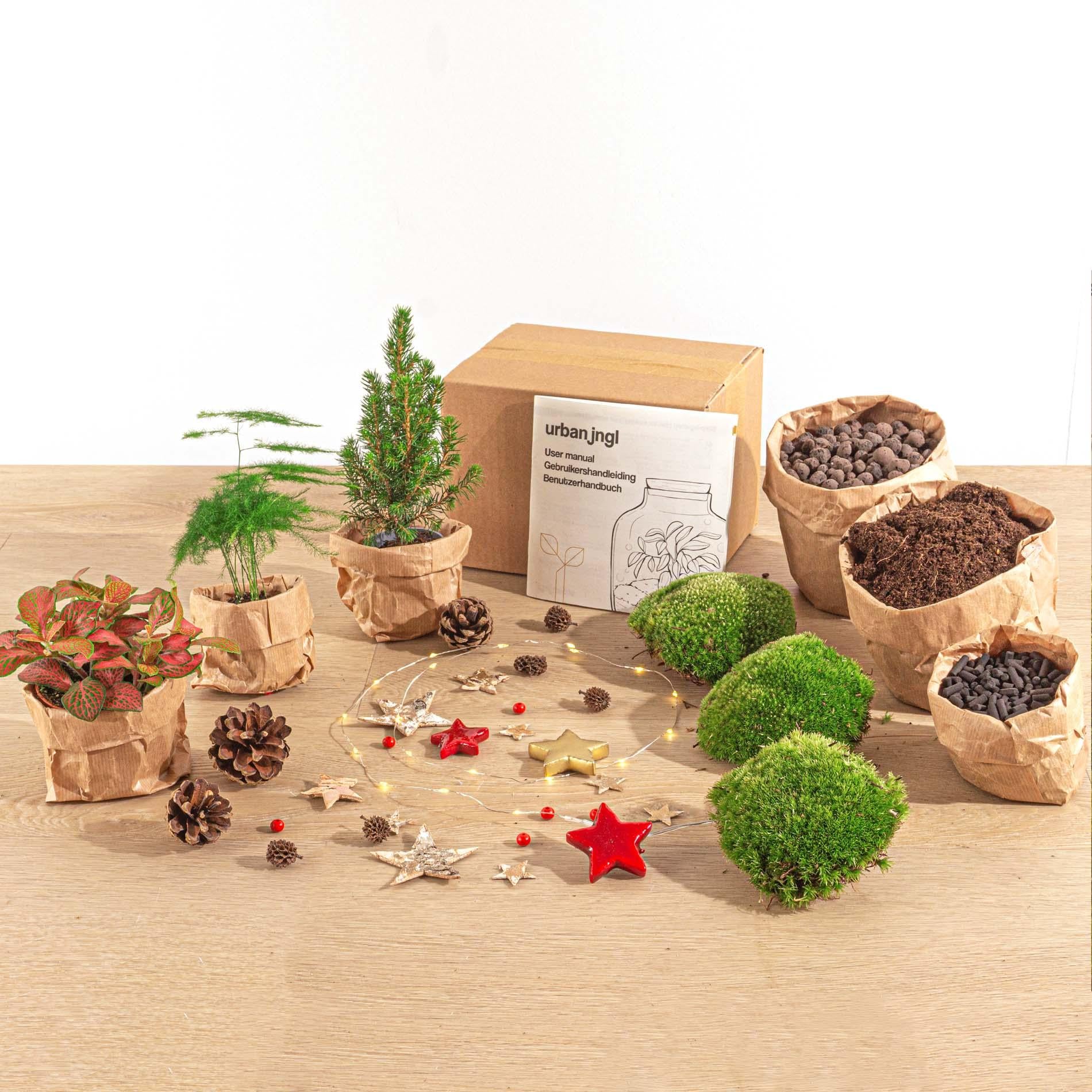 DIY Christmas Planten terrarium pakket - Mini-kerstboom - Navulling & Startpakket