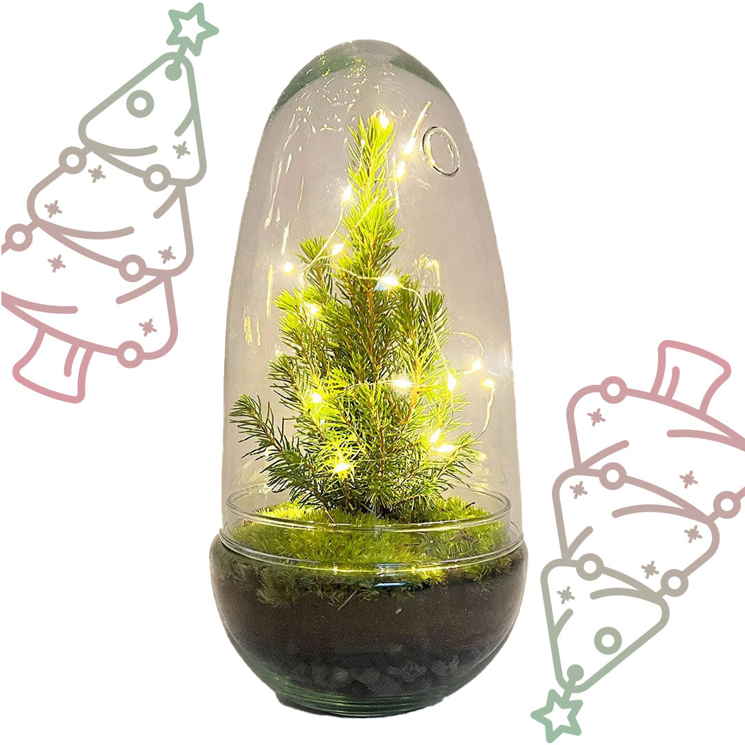 DIY terrarium - Egg Christmas - Kerst decoratie ↕ 25 cm