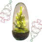 DIY terrarium - Egg Christmas - Kerst decoratie ↕ 25 cm