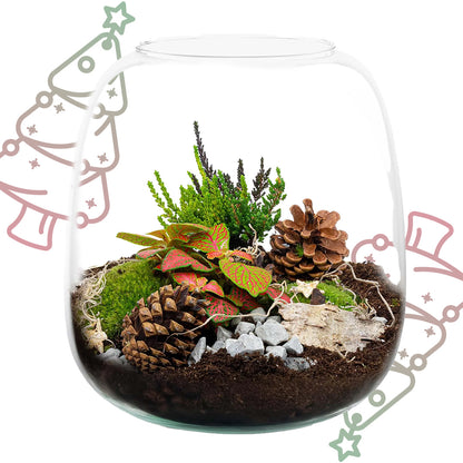 Berry Christmas terrarium - Planten terrarium DIY kit Christmas - Ø 19 cm ↕ 20 cm