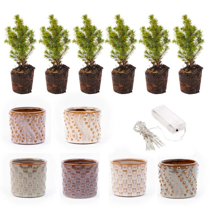 Mini-kerstboom set 6 - inclusief pot set Madrid + 20 LED-lichtjes