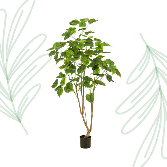 Kunstplant - Ficus umbellate - Afrikaanse vijg - 180 cm - Forest Plants