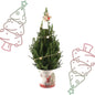 Kleine Kerstboom in Kerstmis sierpot - ↕ 70 cm - Picea Glauca Conica - Sterren Lampjes met batterijen