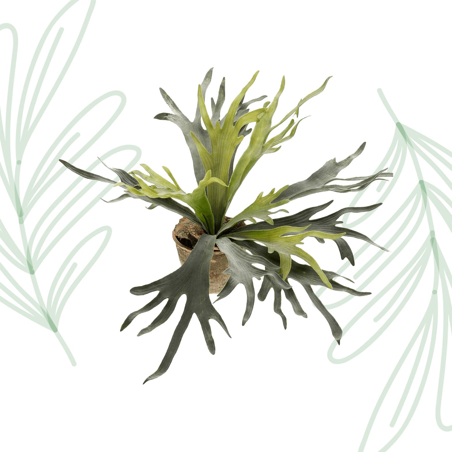 Kunstplant - Staghorn Fern - Hertshoorn - 50 cm - Forest Plants
