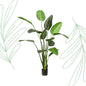 Kunstplant - Strelitzia Nicolai - Paradijsvogelbloem -  230 cm - Forest Plants