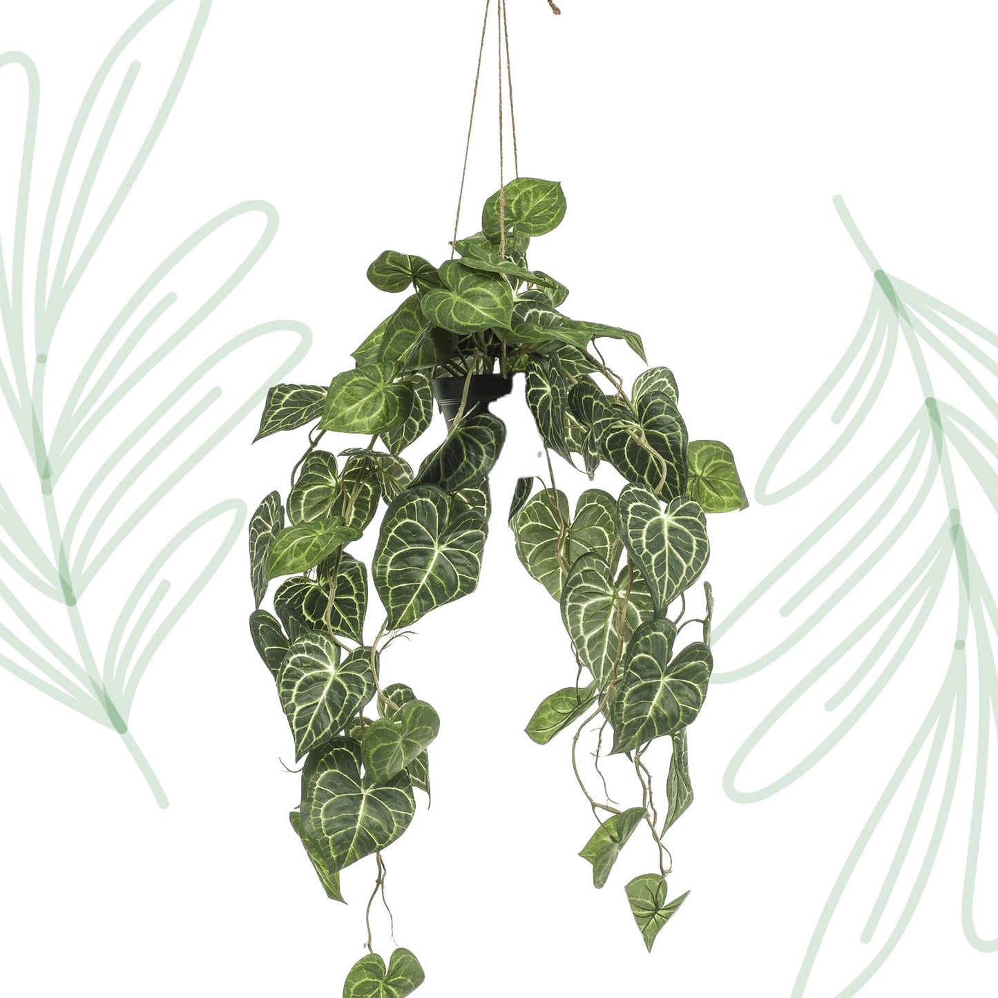 Kunstplant - Anthurium Clarinervium - Aderplant - 80 cm - Forest Plants