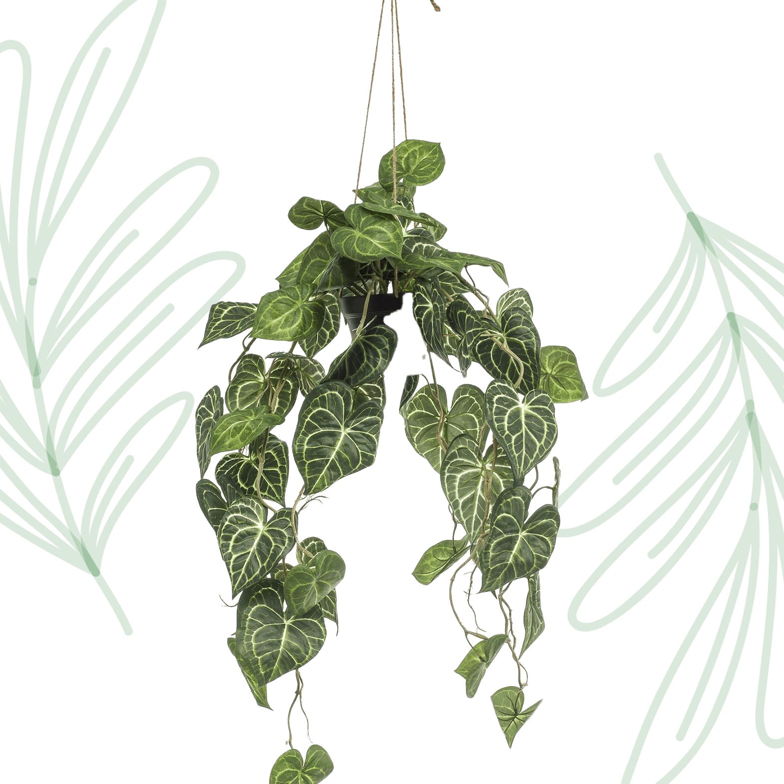 Kunstplant - Anthurium Clarinervium - Aderplant - 80 cm - Forest Plants