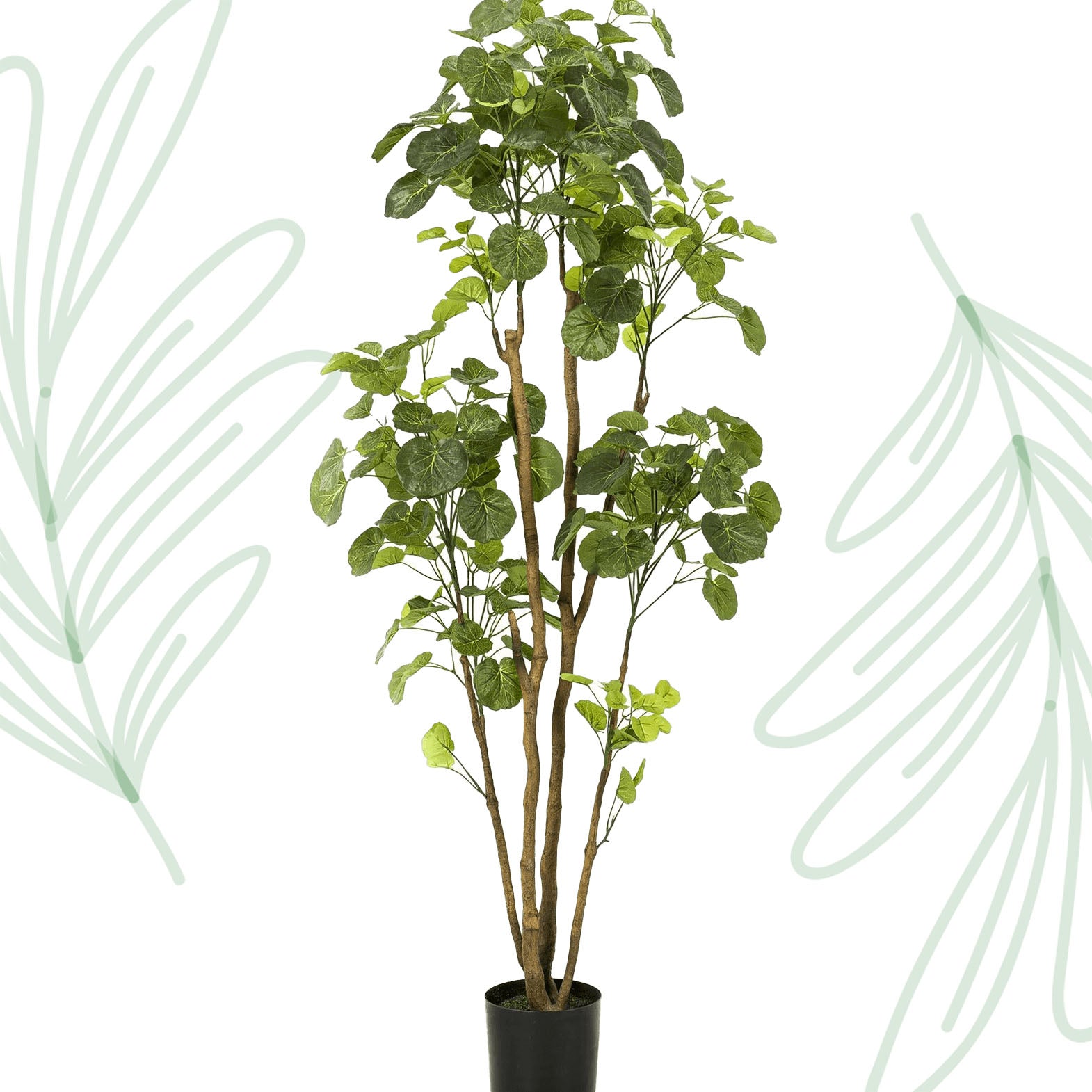 Kunstplant - Polyscias - Aralia - 160 cm - Forest Plants