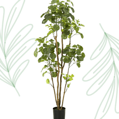 Kunstplant - Polyscias - Aralia - 160 cm - Forest Plants