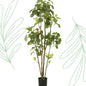 Kunstplant - Polyscias - Aralia - 160 cm - Forest Plants