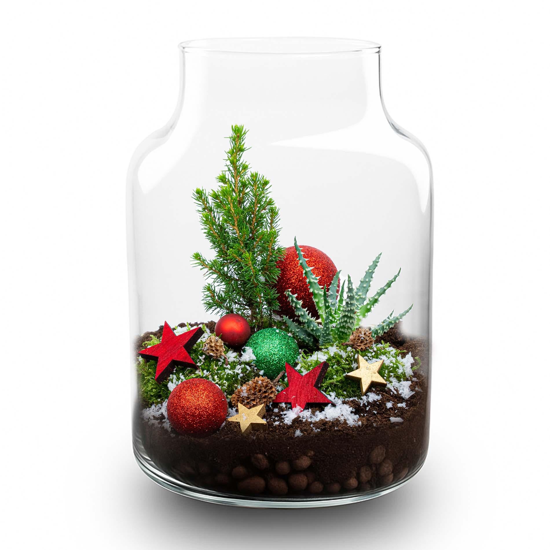 Frosty Kerstmis terrarium - Planten terrarium DIY kit Christmas - Ø 17 cm ↕ 25 cm