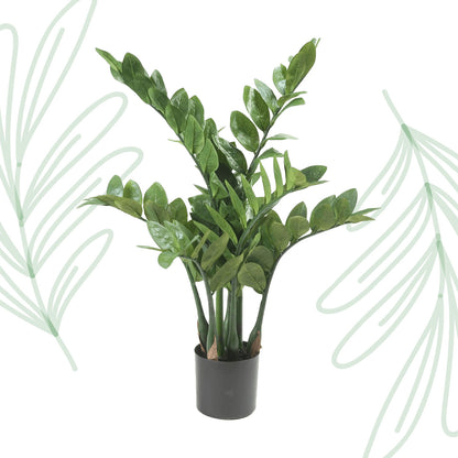 Kunstplant - Zamioculcas - Kamerpalm - 70 cm - Forest Plants