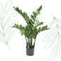Kunstplant - Zamioculcas - Kamerpalm - 70 cm - Forest Plants