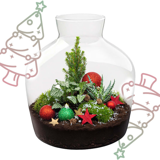 Holly Christmas terrarium - Bottle garden DIY kit - Ø 29 cm ↕ 30 cm