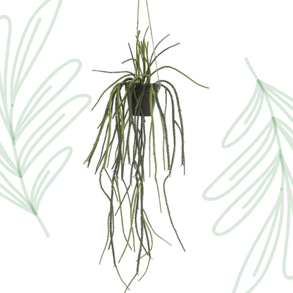 Kunstplant - Rhypsalis - Koraalcactus - 85 cm - Forest Plants