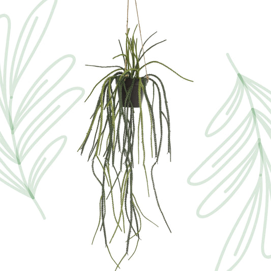 Kunstplant - Rhypsalis - Koraalcactus - 85 cm - Forest Plants