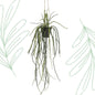 Kunstplant - Rhypsalis - Koraalcactus - 85 cm - Forest Plants