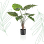 Kunstplant - Alocasia - Olifantsoor - 70 cm - Forest Plants