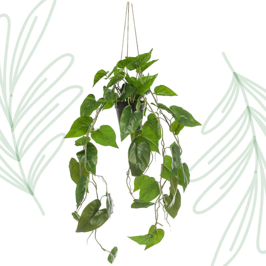 Kunstplant - Philodendron scandens - Klimmende Boomliefhebber - 80 cm - Forest Plants