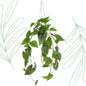 Kunstplant - Philodendron scandens - Klimmende Boomliefhebber - 80 cm - Forest Plants