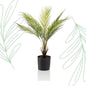 Kunstplant - Chamaedorea - Bergpalm - 50 cm - Forest Plants