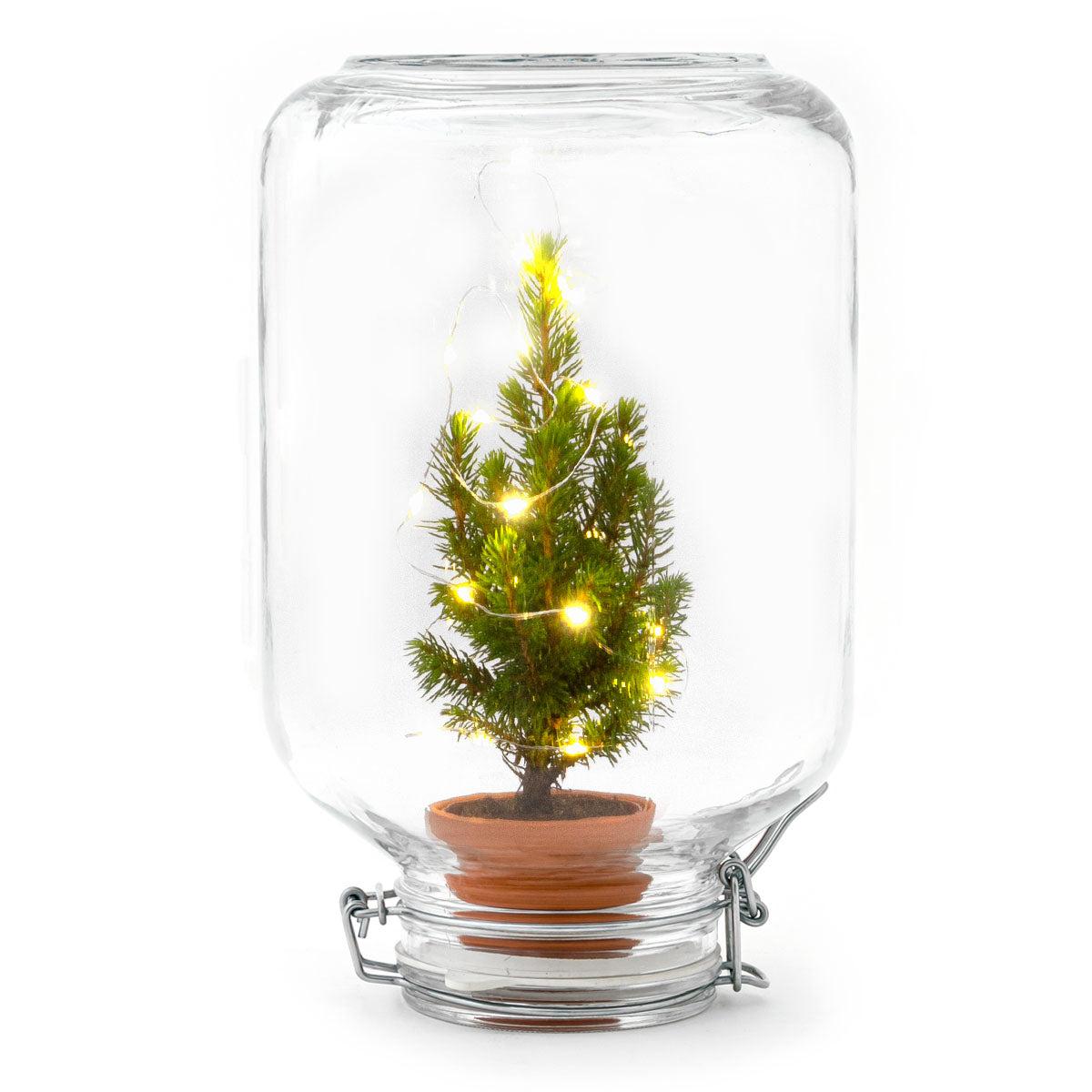Mini Kerstboom in glazen stolp met LED-lichtjes - ↕ 28 cm