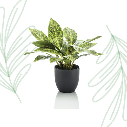 Kunstplant - Croton Codiaeum - Wonderstruik - 38 cm - Forest Plants