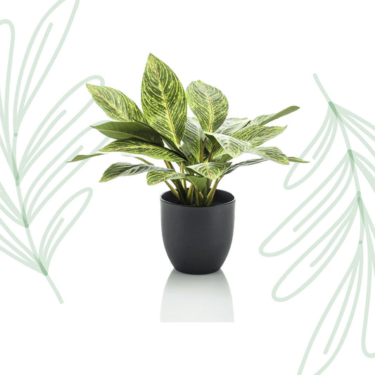 Kunstplant - Croton Codiaeum - Wonderstruik - 38 cm - Forest Plants